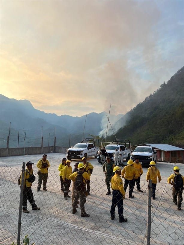 Quema de siembra en Tequila se sale de control y causa incendio forestal