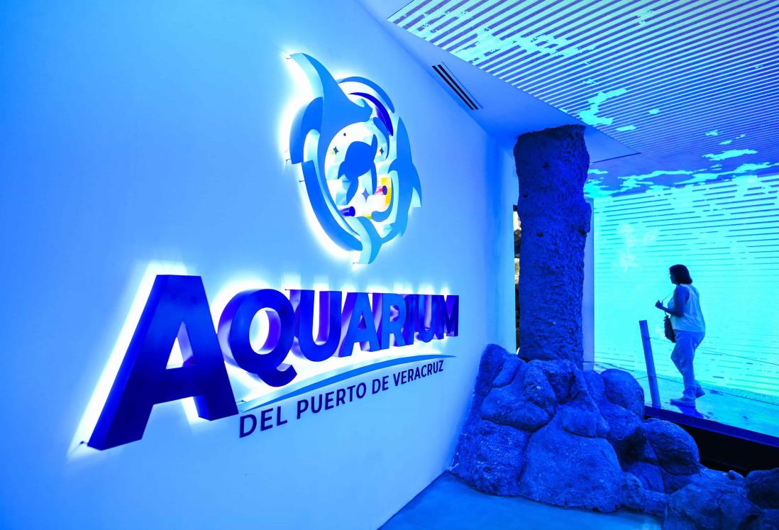 Así es la nueva área del Aquarium de Veracruz que tendrá nuevas especies