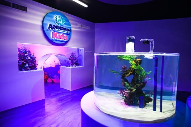 Así es la nueva área del Aquarium de Veracruz que tendrá nuevas especies