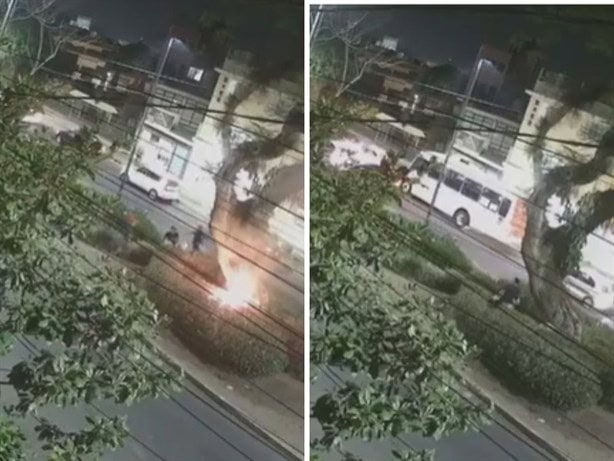 Sujeto prende fuego a árbol en la avenida Orizaba; vecinos exigen detención (+Video)