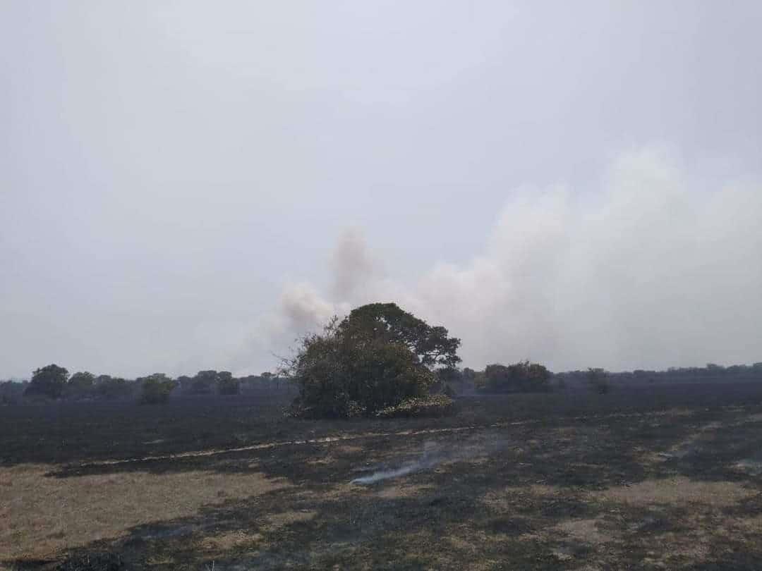 Incendio en pastizales de Alvarado están contralados un 70%, informa Protección Civil