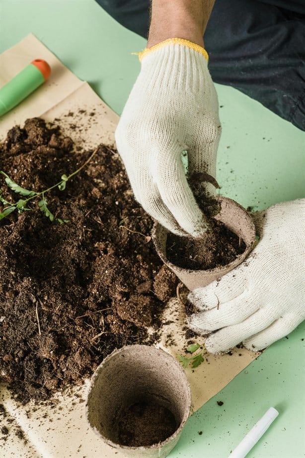 Guía paso a paso para hacer una composta casera para tu jardín