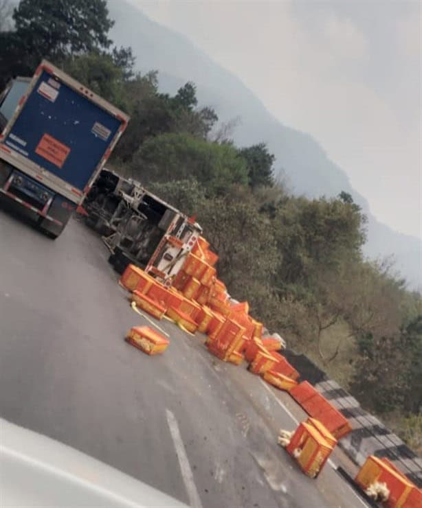 Rapiñeros saquean tráiler volcado con cajas con pollos en Cumbres de Maltrata