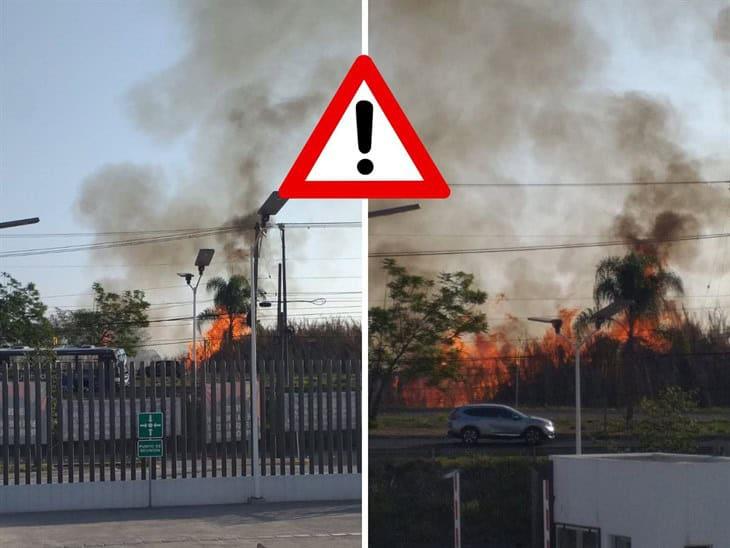 Se registra fuerte incendio de pastizal a la altura de Plaza el Juguete; ¿qué ocurrió? 