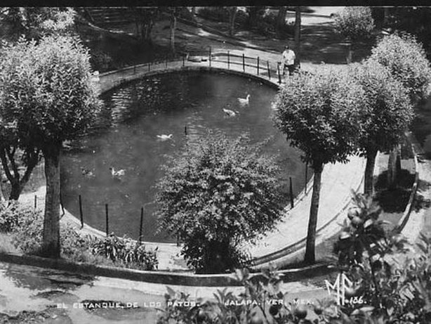 Parque Juárez, esta es la historia del estanque de patos ¿lo recuerdas? 