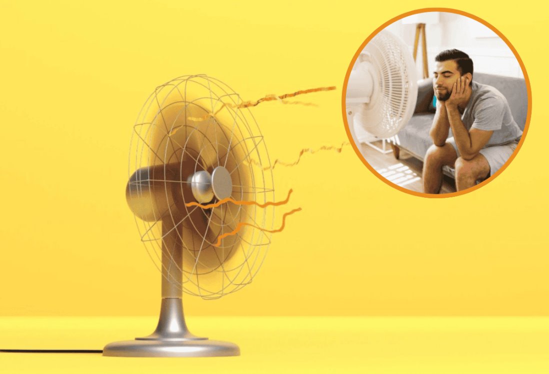 Ola de calor 2024: estos son los mejores ventiladores, según Profeco | PRECIOS