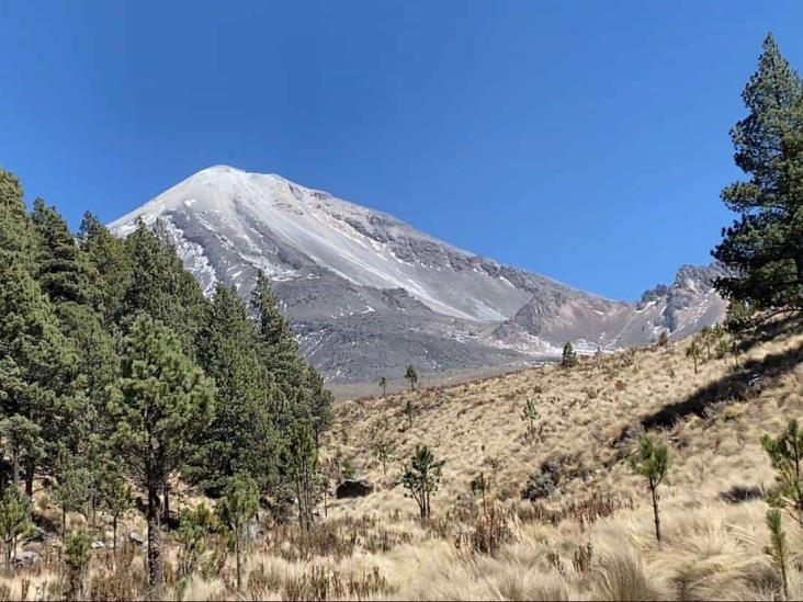 Anuncian campaña de reforestación para el Pico de Orizaba