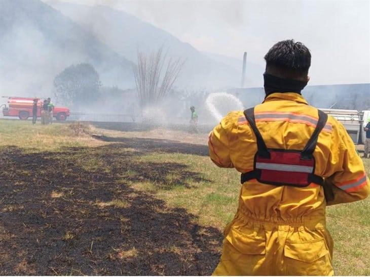 Incendio de pastizal dentro de antigua fábrica textil en Río Blanco (+Video)