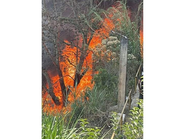 Incendio en colonia Cerro Colorado de Xalapa casi alcanza viviendas