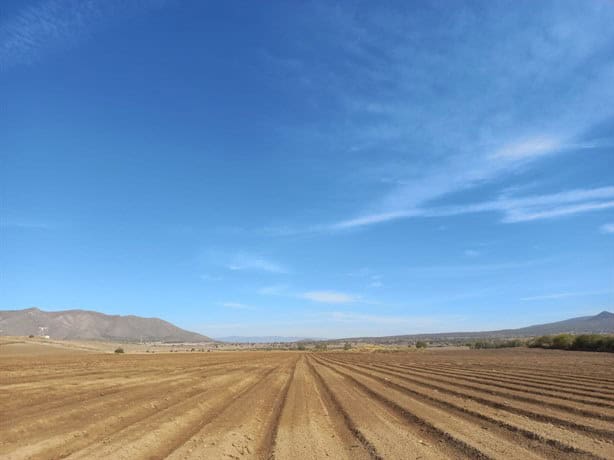 Aumento en tarifas de CFE y sequía ahorcan a campesinos de Perote, aseguran