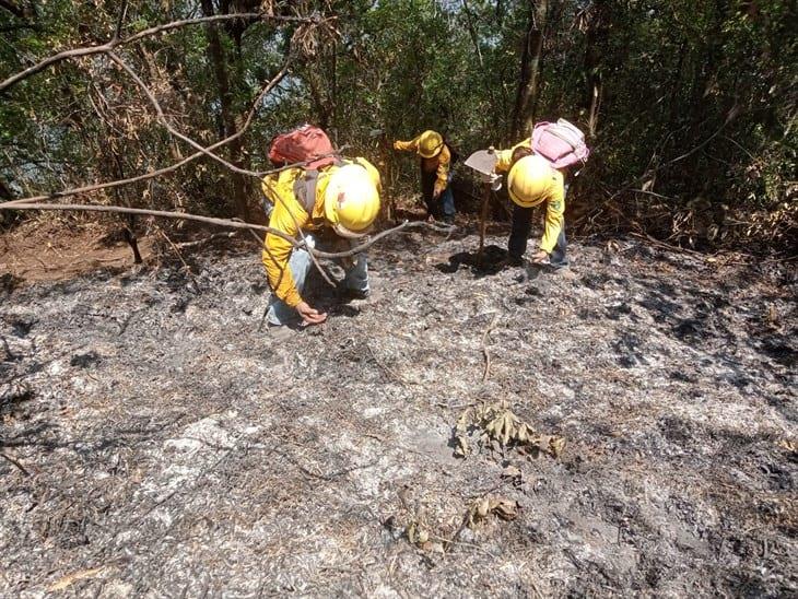 Brigadas combaten dos incendios en Tequila