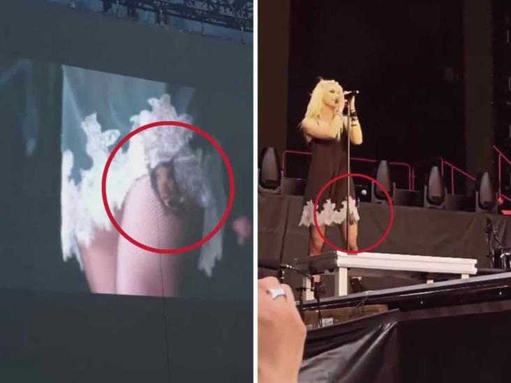 Murciélago muerde a cantante Taylor Momsen a medio concierto (+Video)