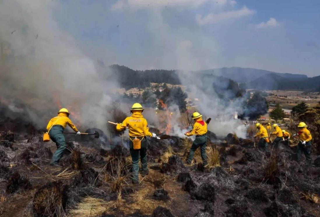 2024, tercer año con más de 7 mil hectáreas afectadas por incendios forestales en Veracruz