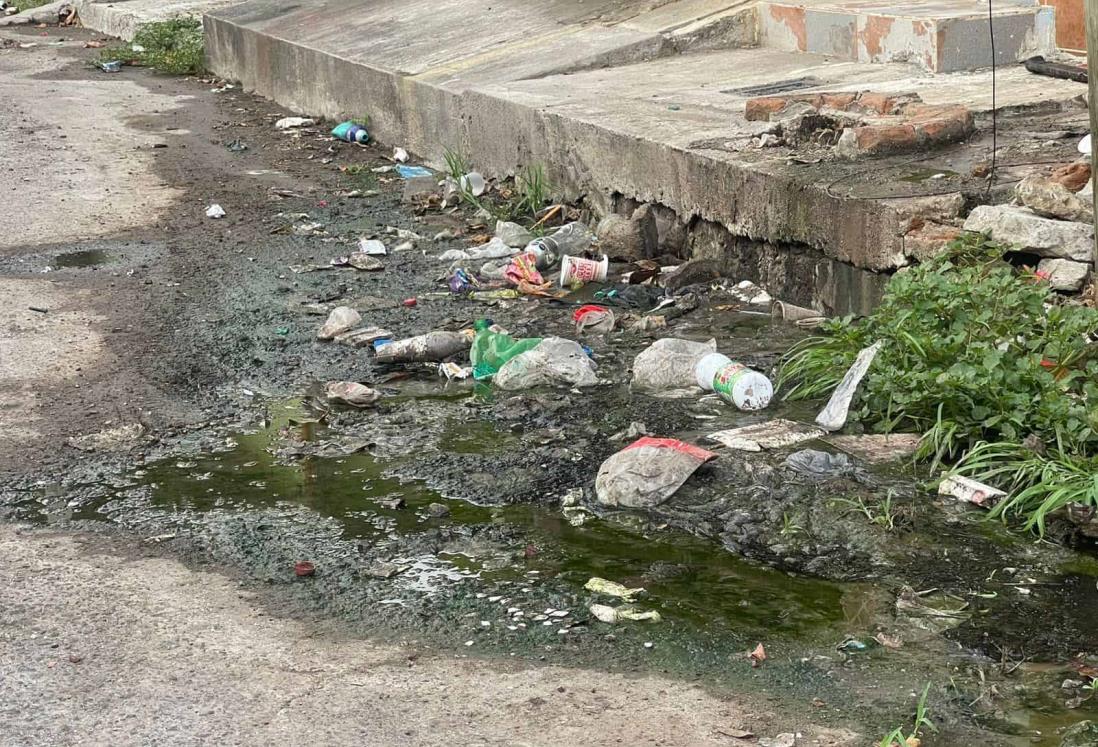 Alertan por fuga de aguas negras en la colonia Estatuto Jurídico