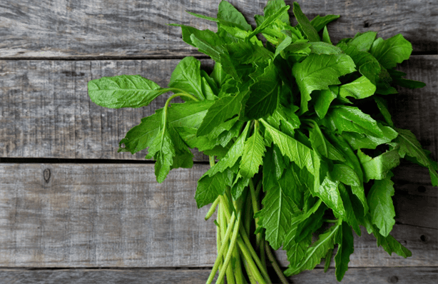 ¿Cilantro hasta en 400 pesos?; lista de alternativas para sazonar comida a bajo costo