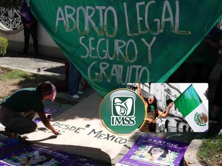 Turnan petición para que IMSS-Bienestar realice aborto legal en Veracruz