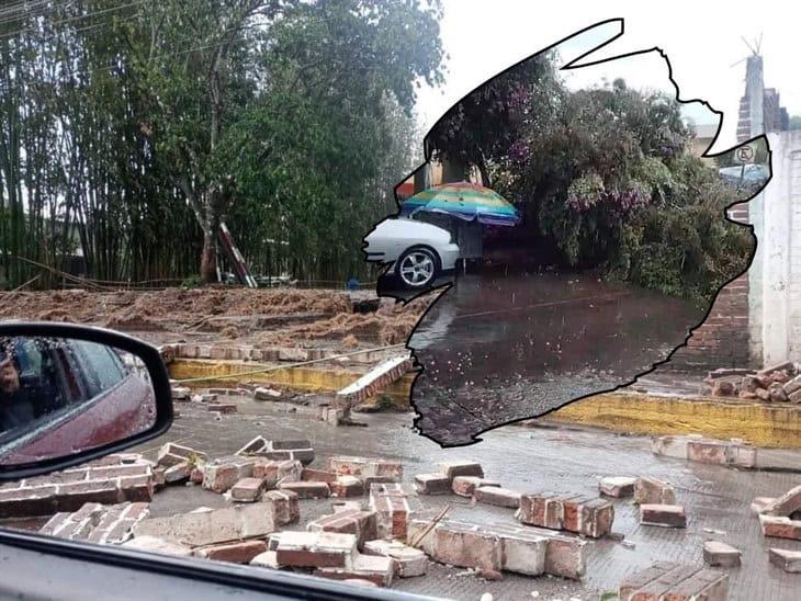 Reportan bardas, árboles y postes caídos por tormenta en Coatepec