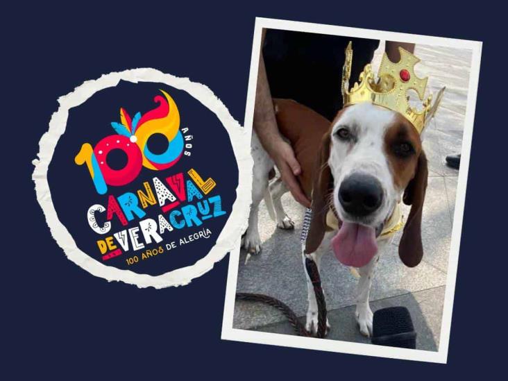 Yuri presume a Chaco, rey canino del Carnaval de Veracruz