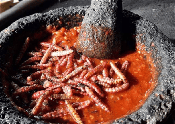 ¿Cuál es el peor insecto comestible mexicano en el mundo?