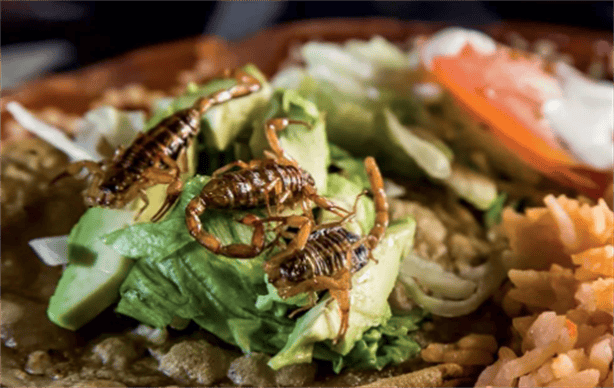 ¿Cuál es el peor insecto comestible mexicano en el mundo?