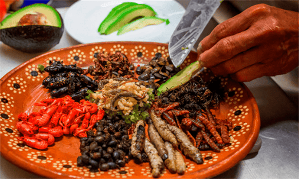 ¿Cuál es el peor insecto comestible mexicano en el mundo?