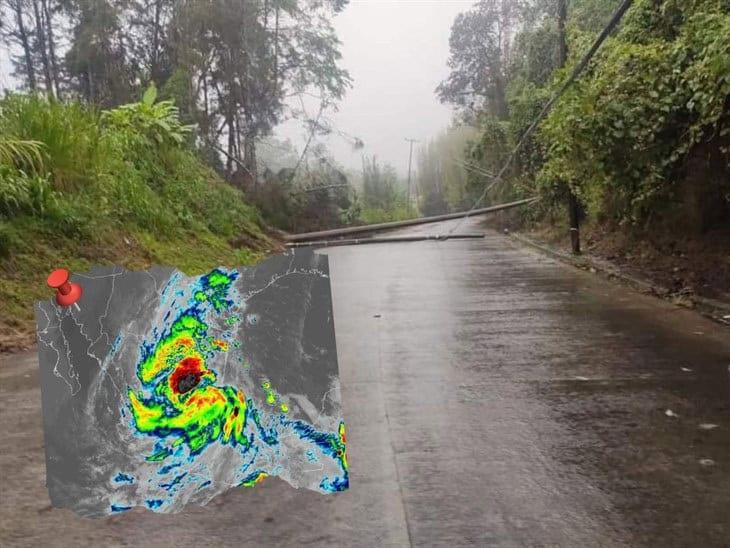 Lluvias, anegamientos y caídas de árboles; son los daños que deja la tormenta tropical Alberto en Veracruz