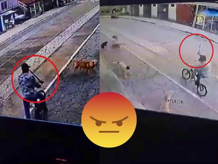 ¡Quedó en video! En Fortín, descerebrado persigue a perros callejeros con un machete