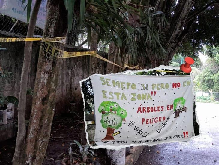 Aumentan protestas contra Semefo en Palo Verde: señalan contaminación ambiental 