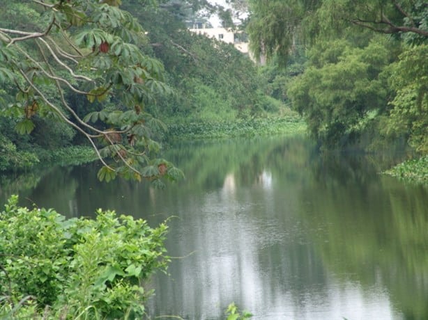 Tras lluvias en Veracruz crece el río Jamapa; lo tienen bajo vigilancia | VIDEO