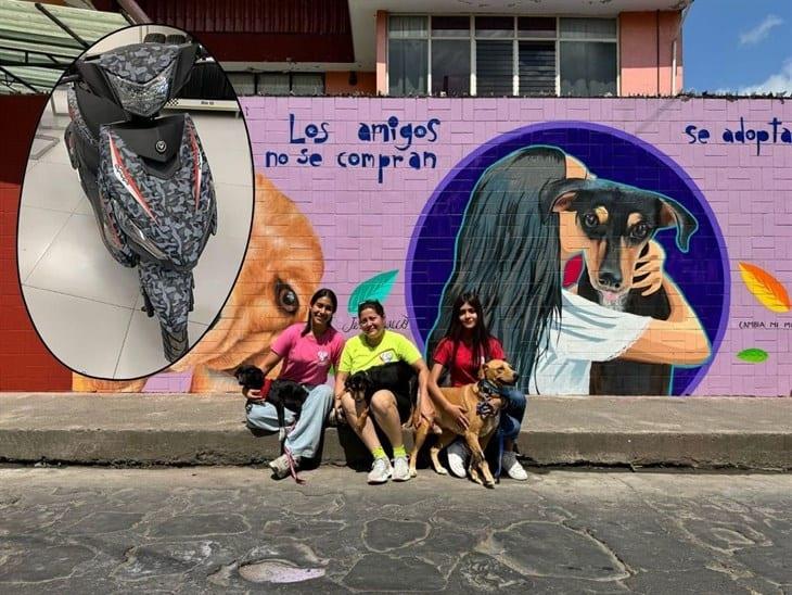 ¡Participa! Rifarán motoneta en apoyo a animales rescatados en Misantla