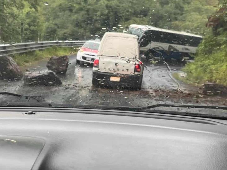 ¡Cuidado! Reportan caída de rocas en la carretera Misantla-Xalapa