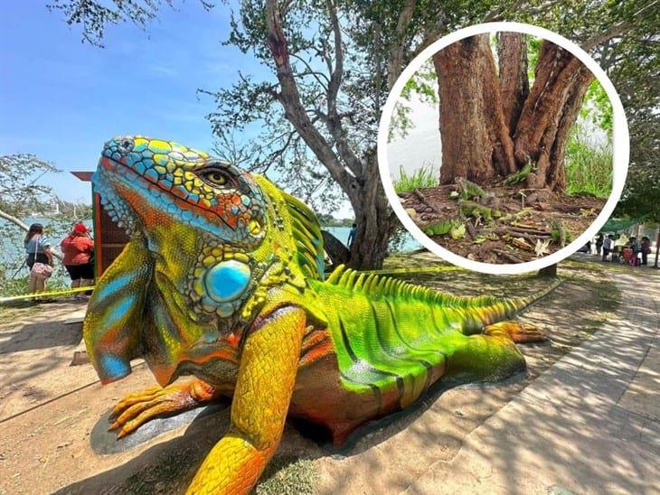 Santuario de la Iguana en Tuxpan: ¿Lo conoces? así puedes visitarlo 