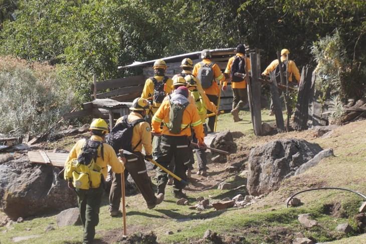 Hay denuncias y un detenido por causar incendios forestales en Veracruz: Sedema