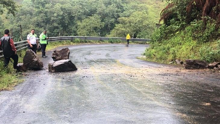 Tras lluvias, continúan los retiros de escombro en la carretera Misantla-Xalapa 