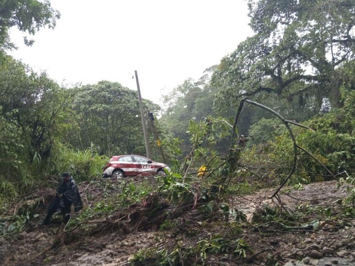 Tormenta tropical Chris dejó afectaciones en al menos 25 municipios de Veracruz