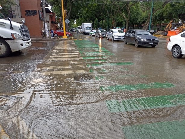 Enorme desperdicio de agua en avenida Ruiz Cortines de Xalapa por ruptura de red