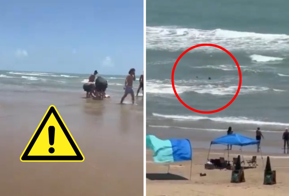 Graban brutal mordida de tiburón en Isla del Padre Sur ¿Cómo evitar un ataque? | VIDEO