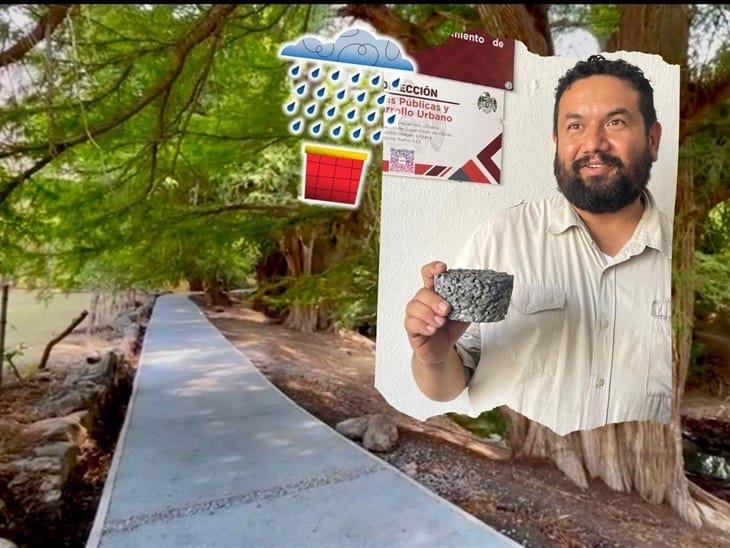 ¡Increíble! Con este material se filtra y recupera el agua pluvial en Los Ahuehuetes