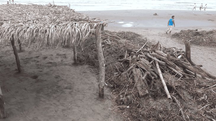 Tras tormenta tropical Chris, palizada en Tecolutla pone en riesgo a turistas