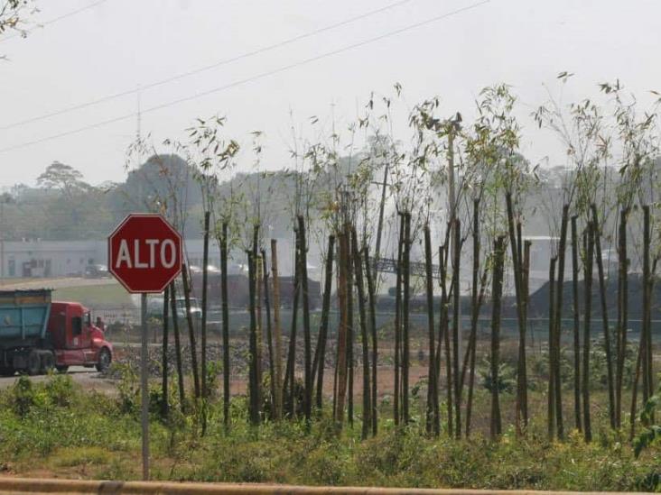 Coque en Jáltipan: impacto devastador en salud y medio ambiente