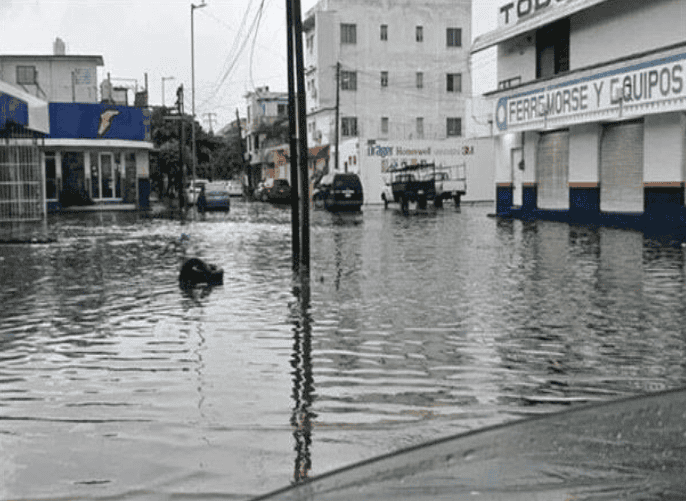 Falta de cultura también inunda Veracruz