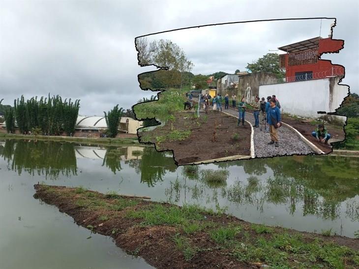 Por Día del Árbol, inician reforestación en Molinos de San Roque, en Xalapa