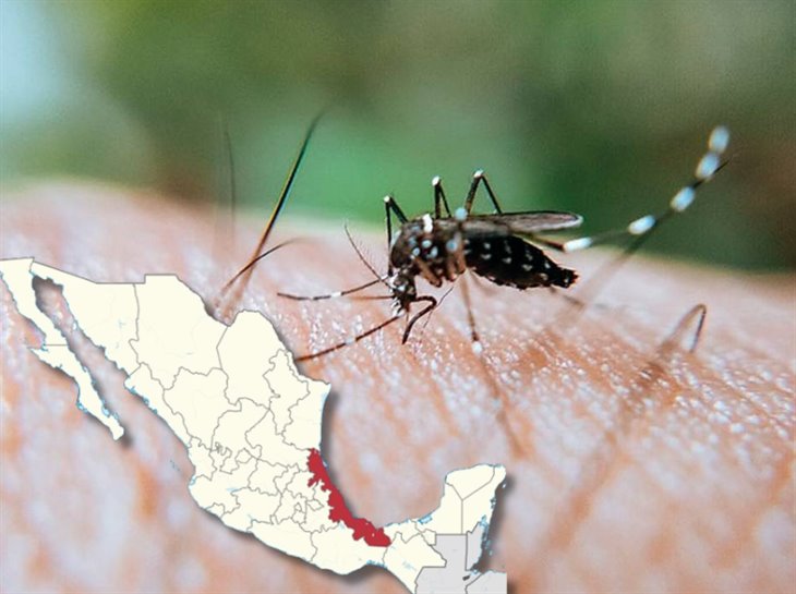 Dengue a la alza en estos municipios; van 6 muertes en Veracruz 