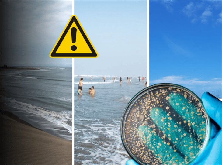 Cofepris alerta por playas contaminadas en Veracruz; no están certificadas ¡cuidado!