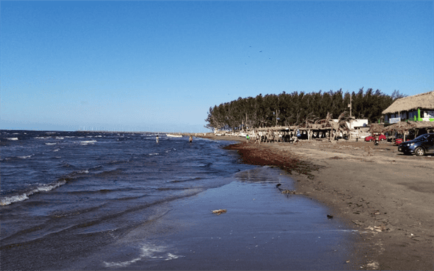 Cofepris alerta por playas contaminadas en Veracruz; no están certificadas ¡cuidado!