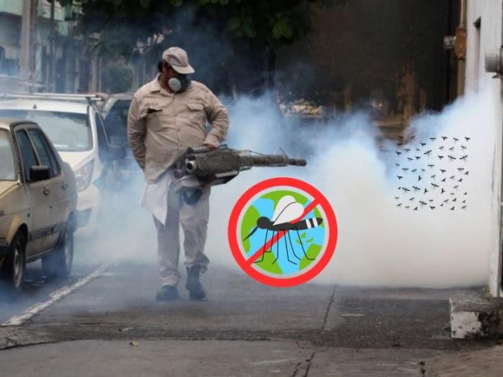 Salud en Veracruz confirma que este 2024 habrá aumento en casos de dengue