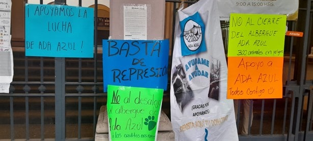 No al cierre de albergue de animales Ada Azul en Xalapa, protestan en Ayuntamiento