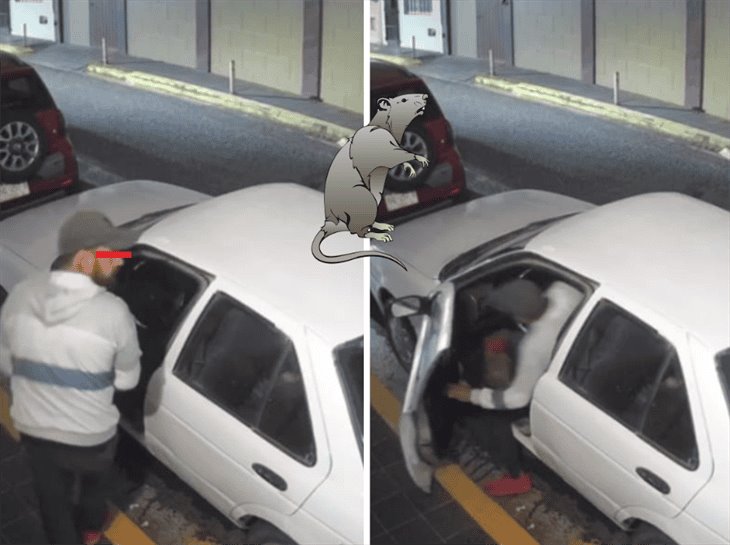 Captan a sujeto robando auto en pleno centro de Xalapa