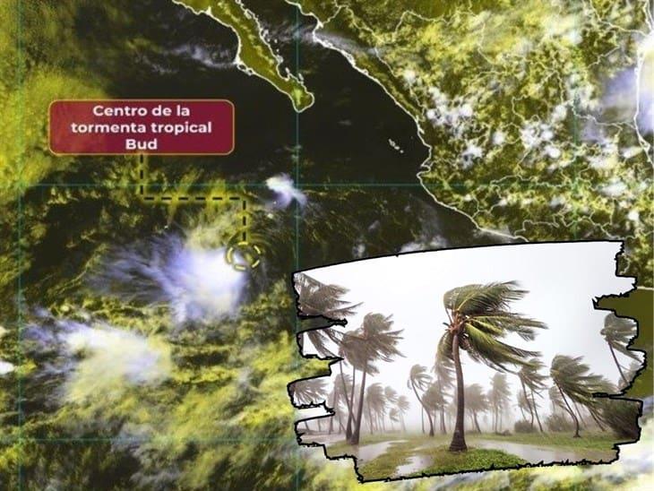 Tormenta tropical Bud se forma cerca de México; esta es su trayectoria