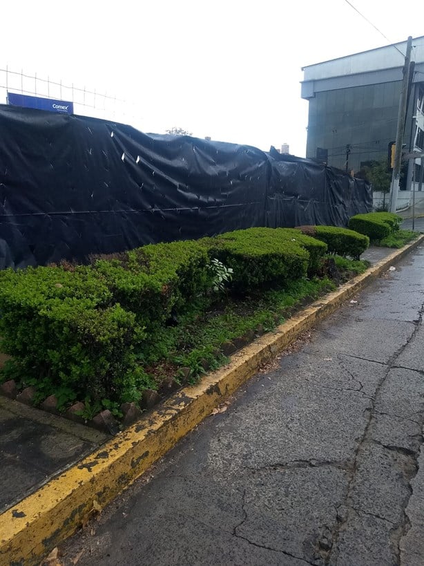 Alertan por daños ecológicos por obra en colonia José Cardel de Xalapa